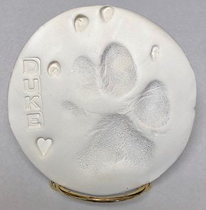 Clay Paw Print